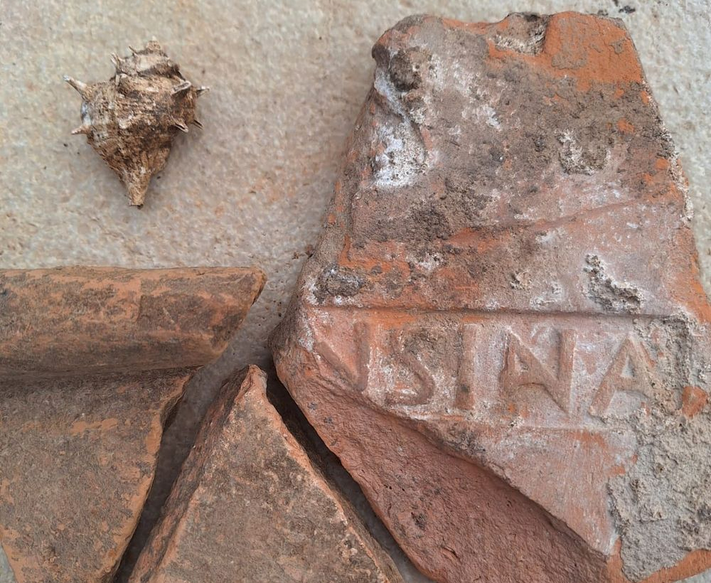 Fascinating Roman Find Halts Works Near Zadar